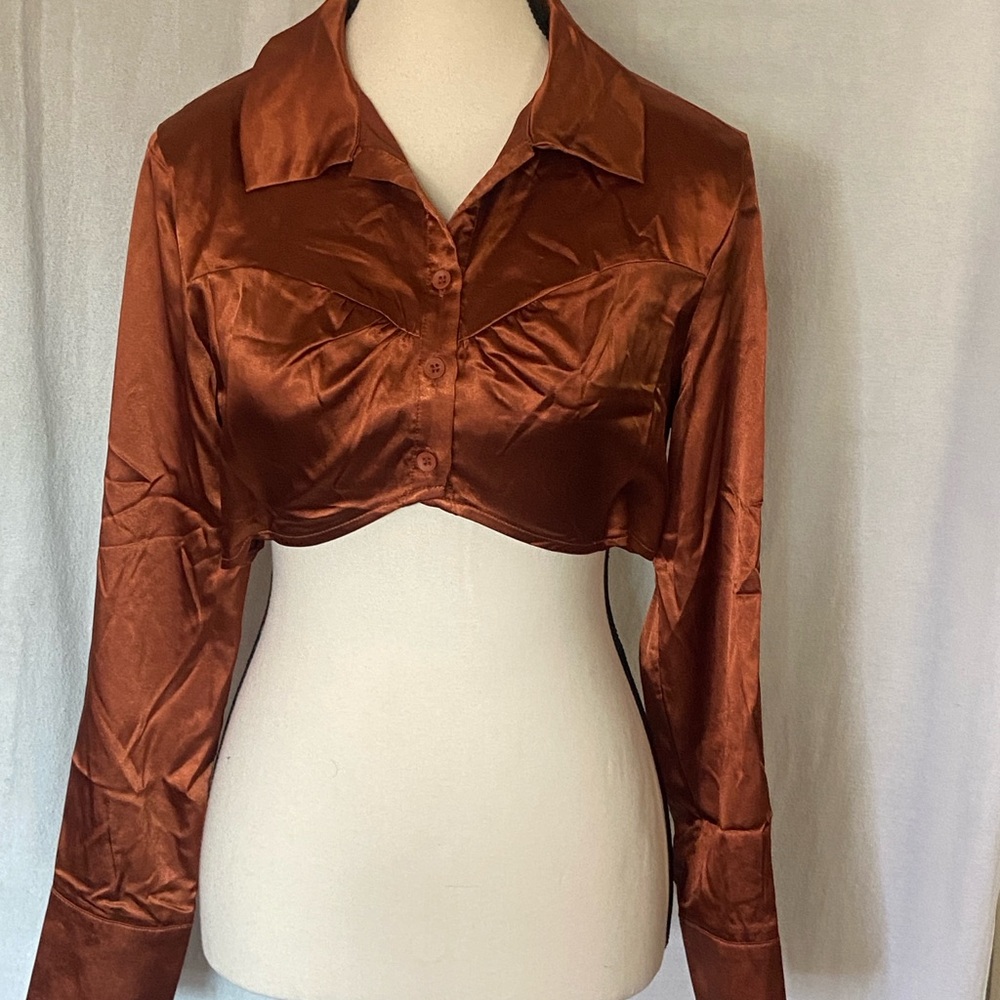 Women's Brown Satin Crop Top